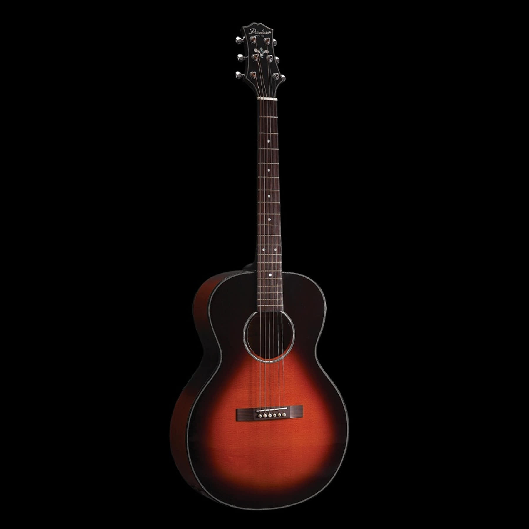 Acoustic PGC-65